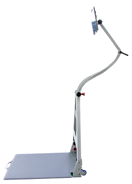 Sense of Balance - Balance Training Station System for Physical Therapy and Rehabilitation